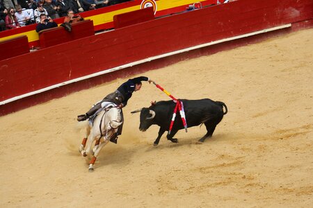 Bullring torero Free photos photo