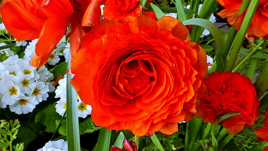 Petal floral fulfillment
