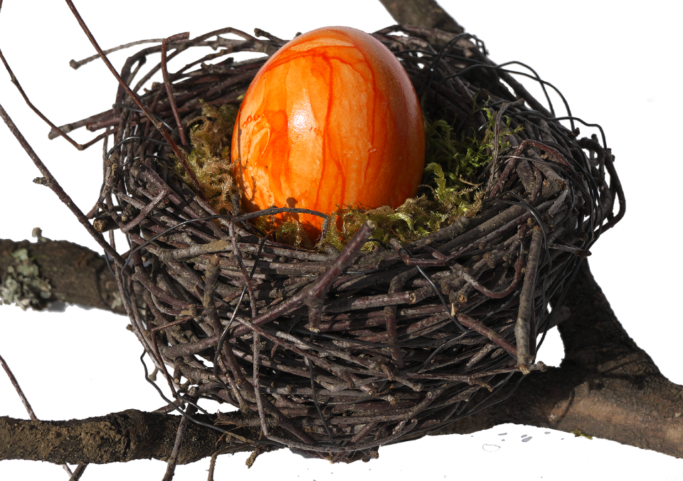 Easter decoration easter egg egg