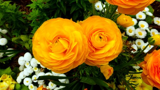 Garden bouquet of flowers leaf