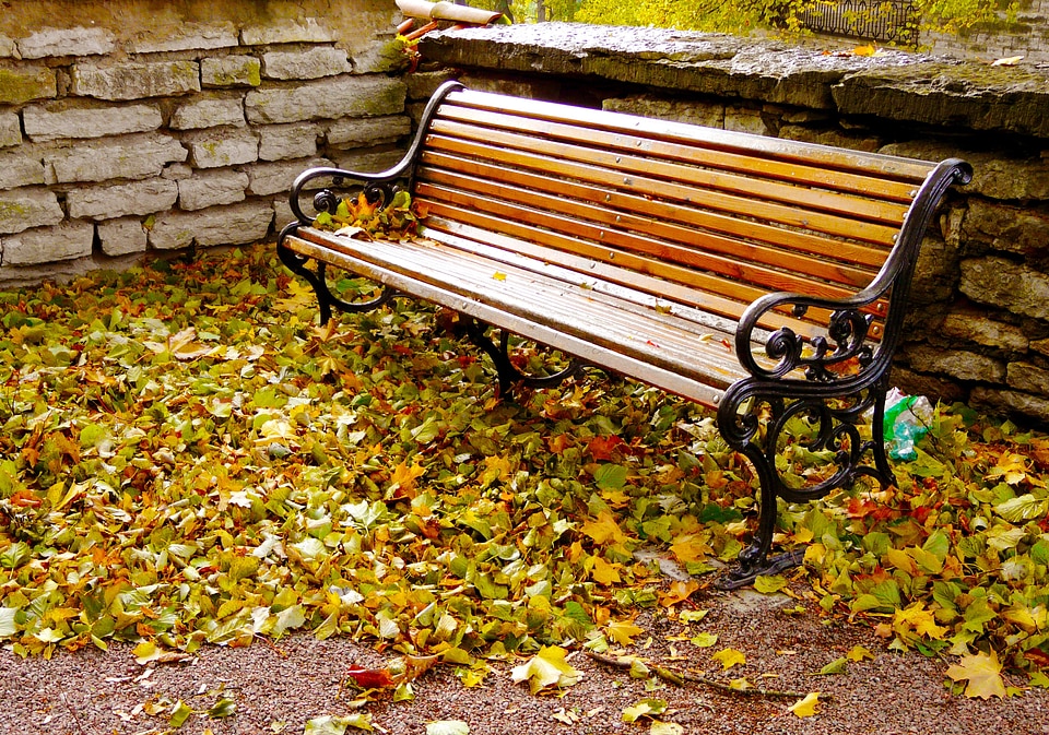 Old town autumn park tallinn