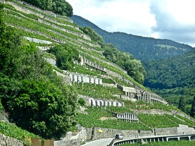 Travel mountain landscape