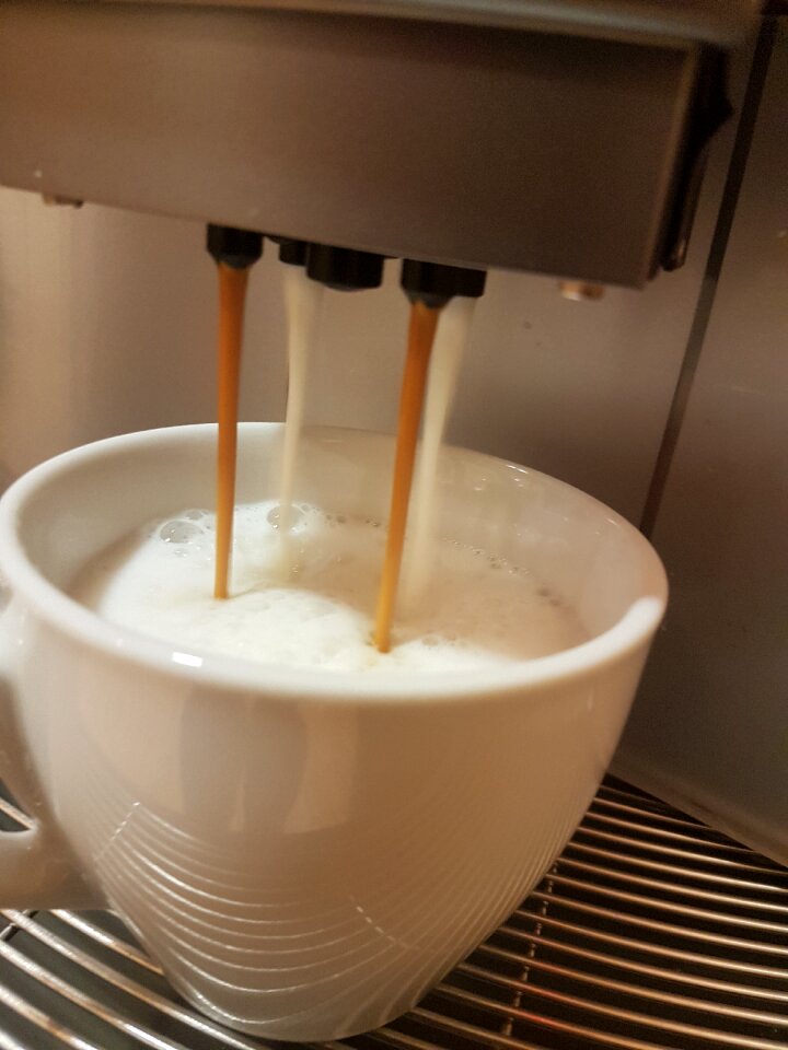 Food coffee cup