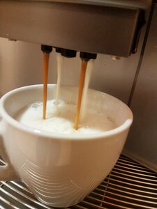 Food coffee cup
