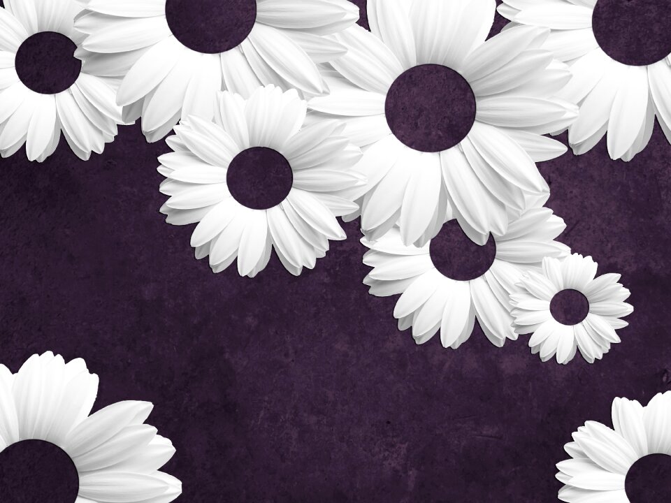 Nature desktop beautiful