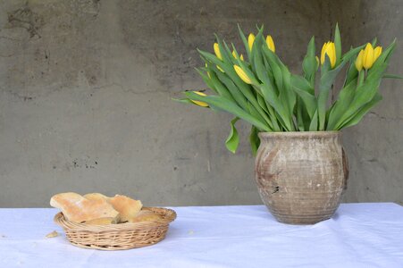 Plant easter simplicity