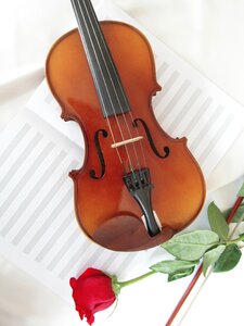 Violin bowed stringed instrument music photo
