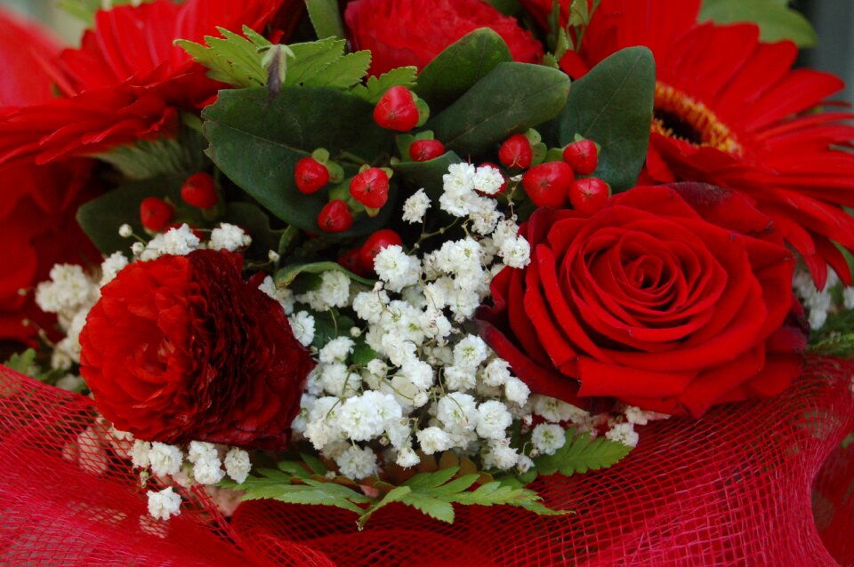 Celebration petal floral