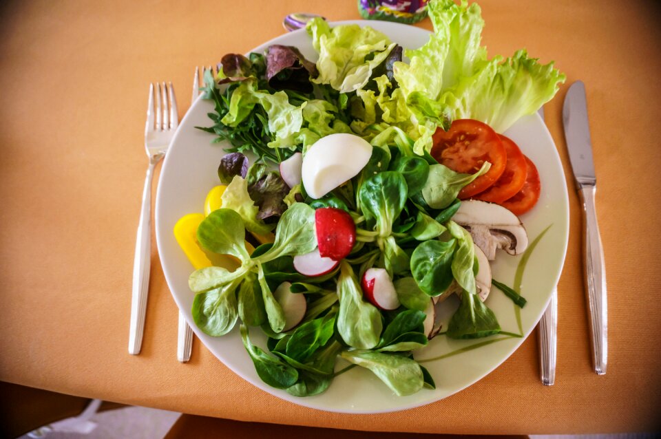 Plate dinner starter