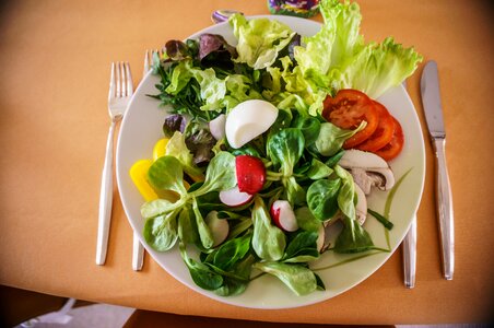 Plate dinner starter