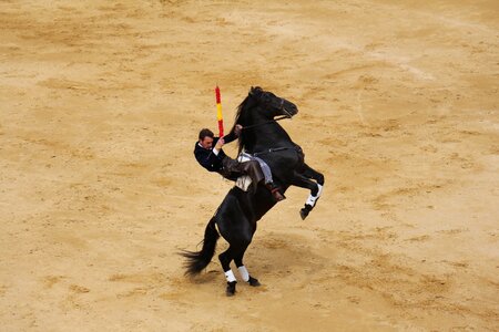 All square plaza de toros de valencia bullfight