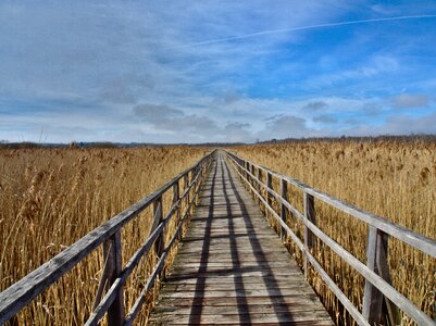 Sky lake fence