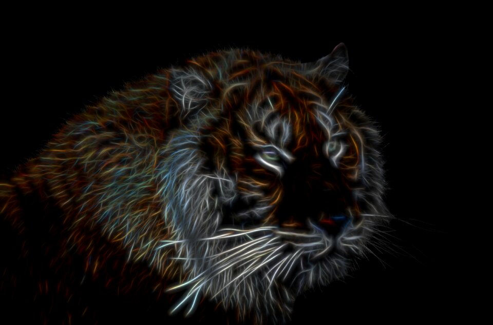Glow mammal portrait