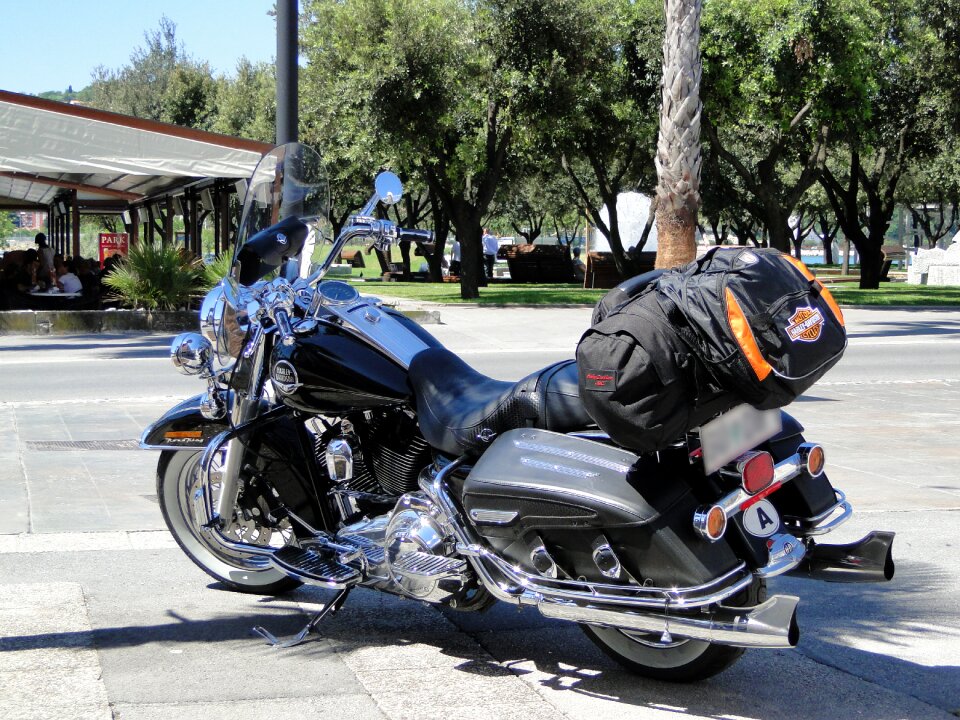 Engine harley davidson