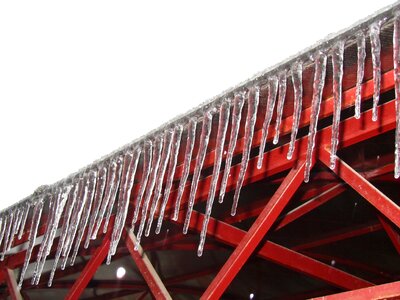 Cold frost nature