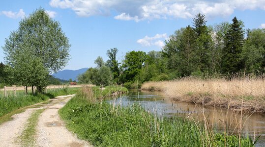 Grass waters panorama photo