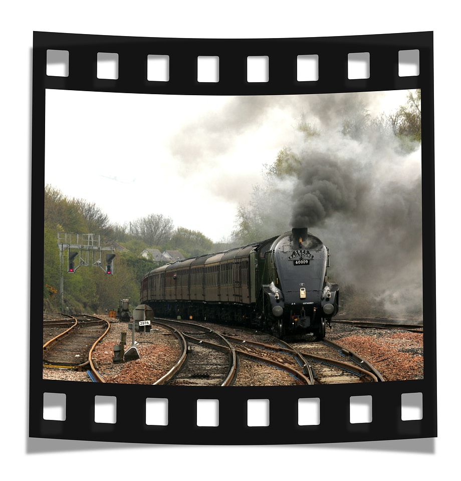 Camera digital frame