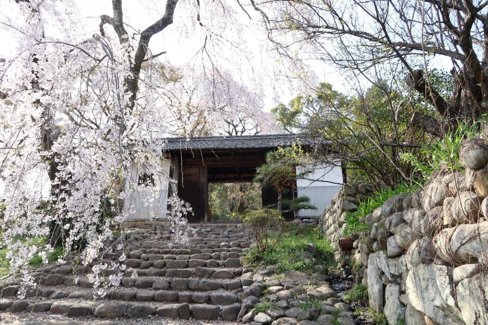 Stone building old