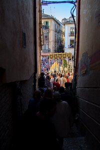 Street lane easter