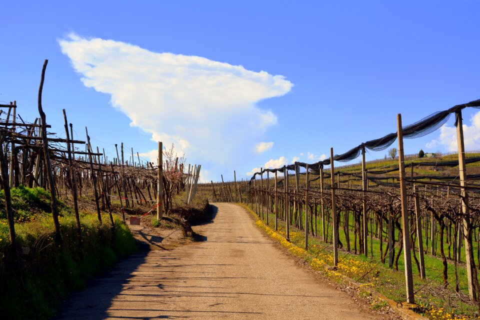 Outdoors landscape road