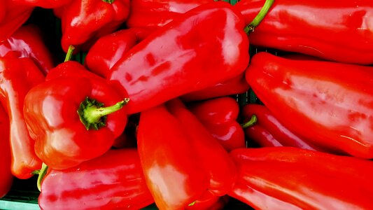 Vegetable pepper red photo