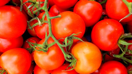 Fruit vegetable freshness