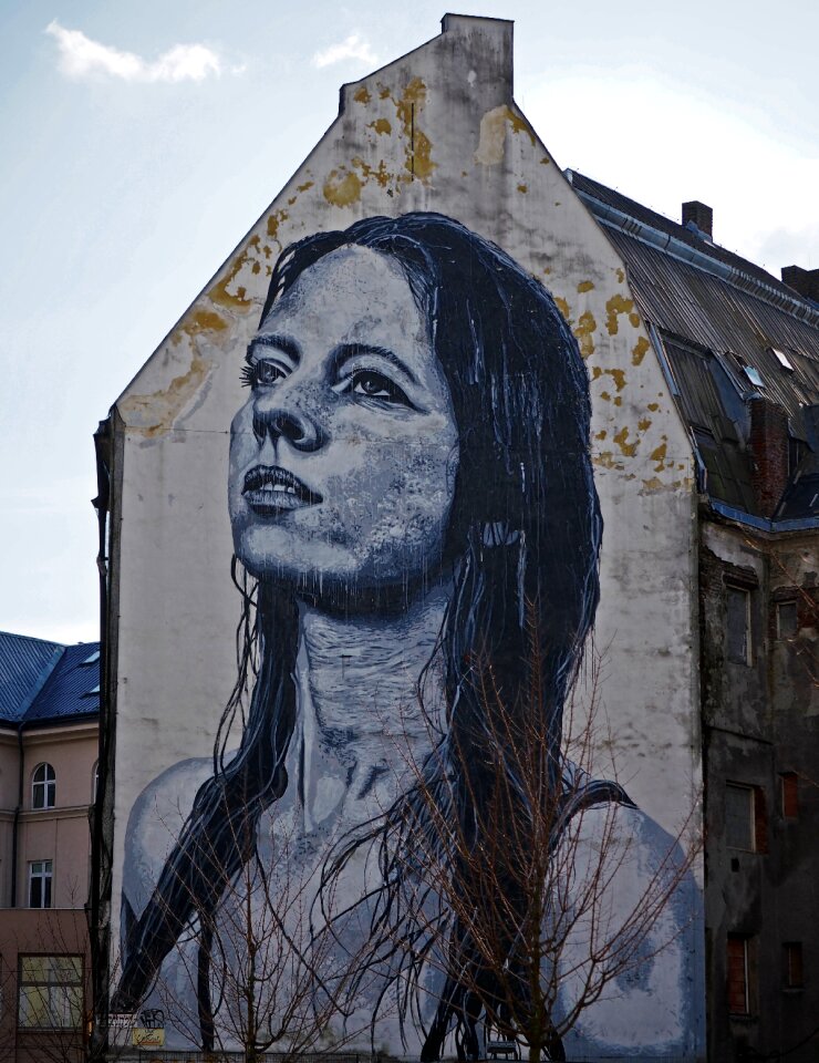 Ostrava art madonna
