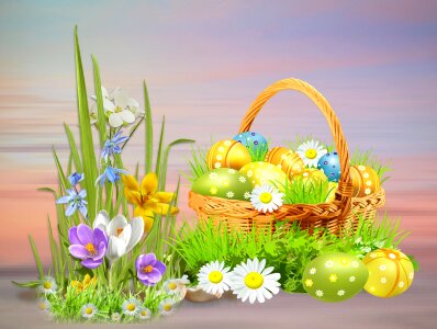 Plant flowers basket