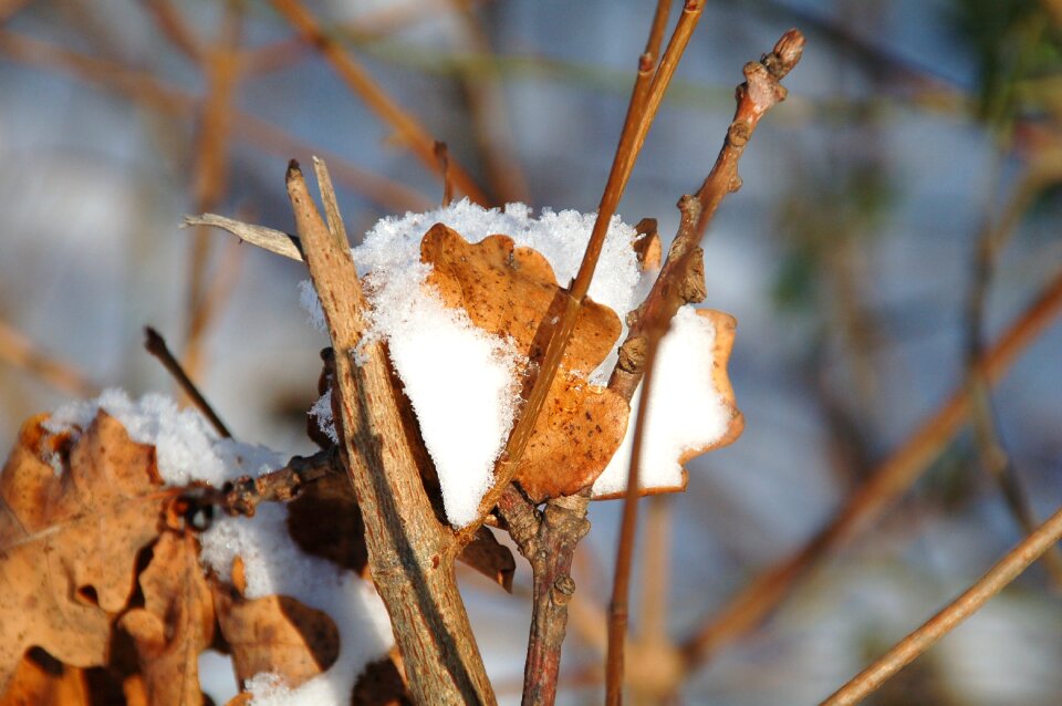 Frost snow sheet