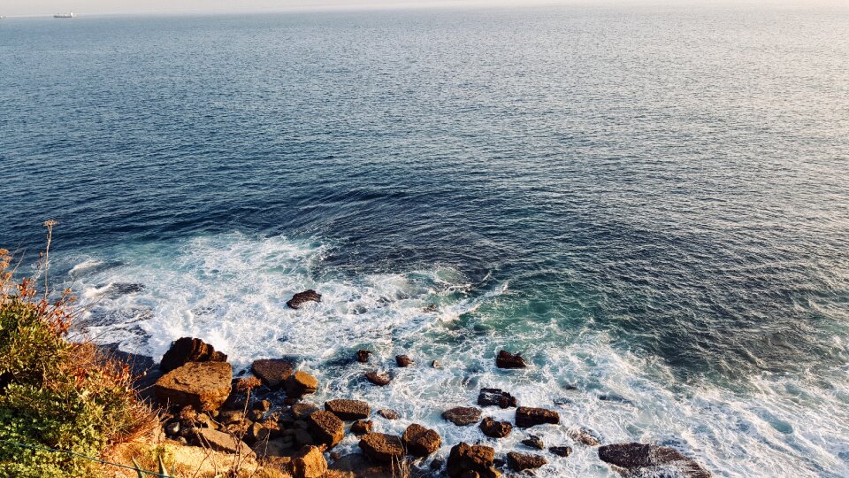 Nature coast wave photo