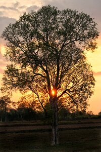 Late evening dusk photo