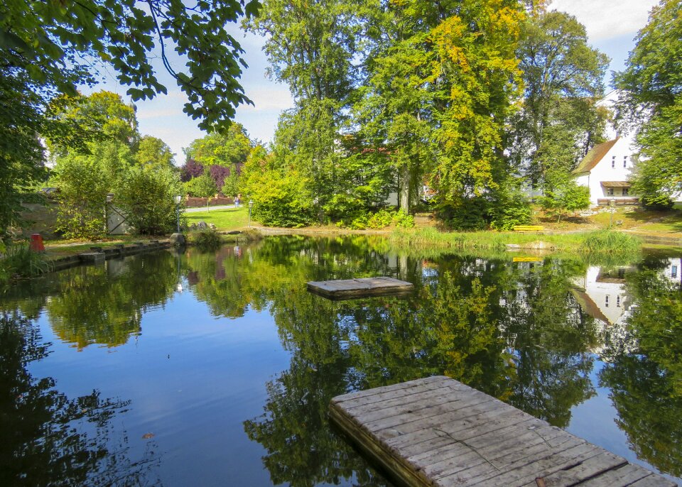 Reflection pool pond