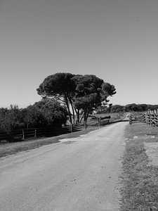 Countryside asphalt destination photo