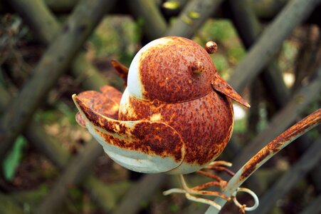 Rusty rusted old