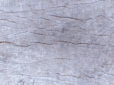 Wood texture background timber wood texture photo