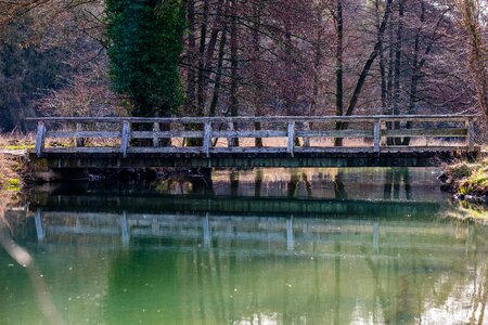 Tree reflection bridge photo