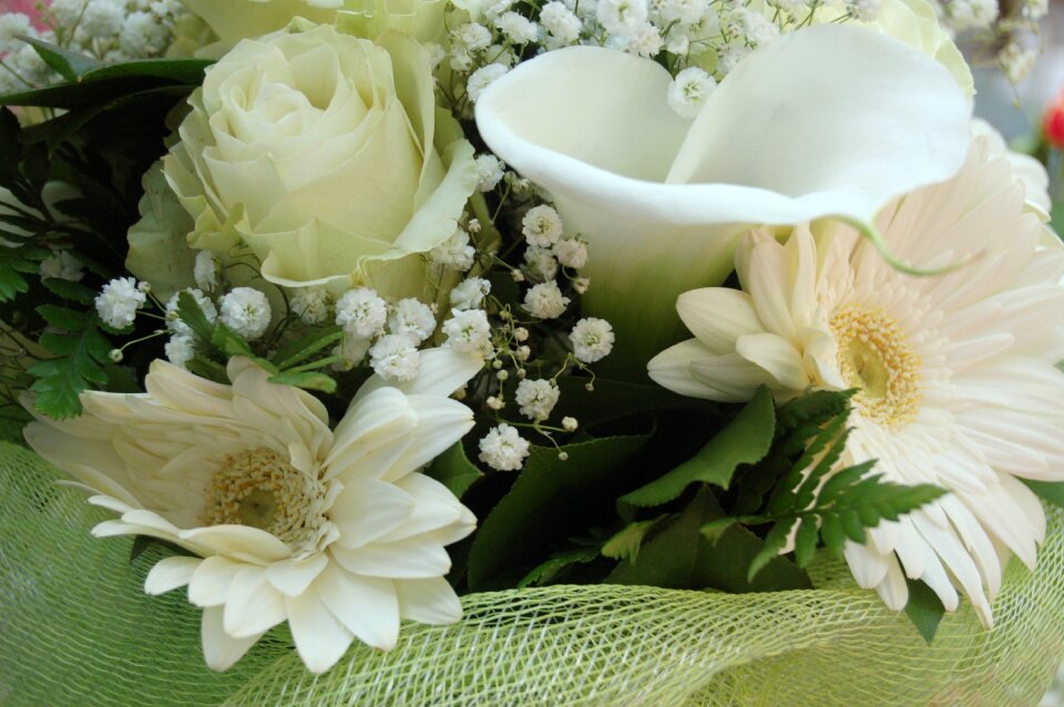 Floral bouquet de fleurs wallpaper