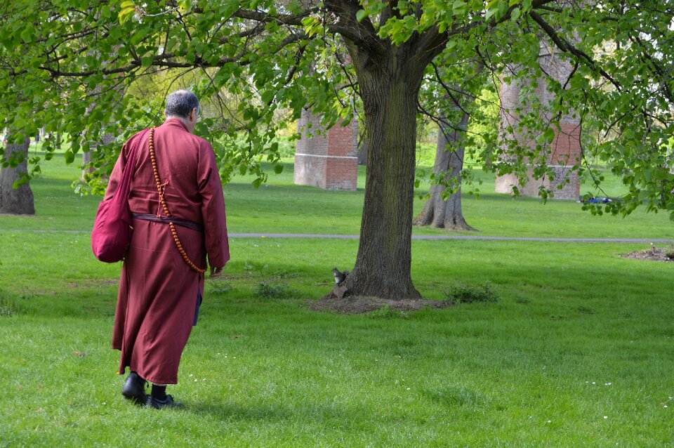 Park outdoors buddhist monk