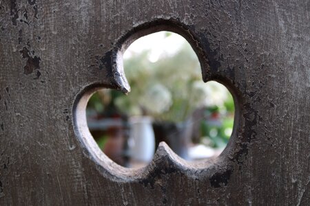 Wood closeup