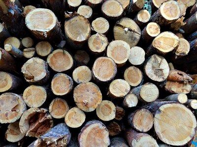 Wood holzstapel stack photo