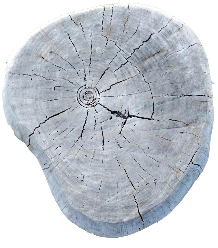 Wooden rustic surface