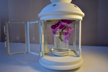 Flower candlestick Free photos