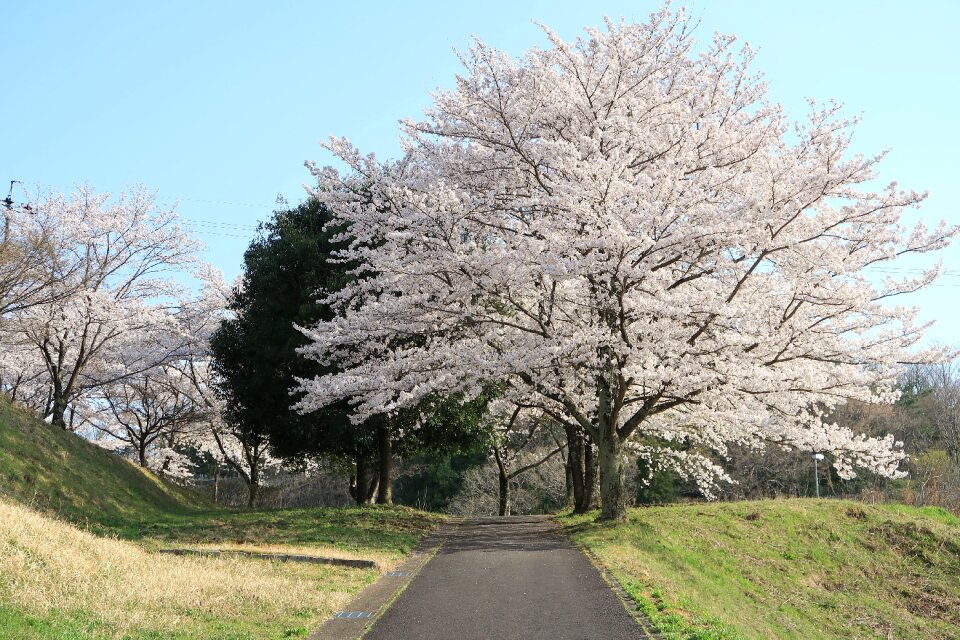 Natural park blue sky