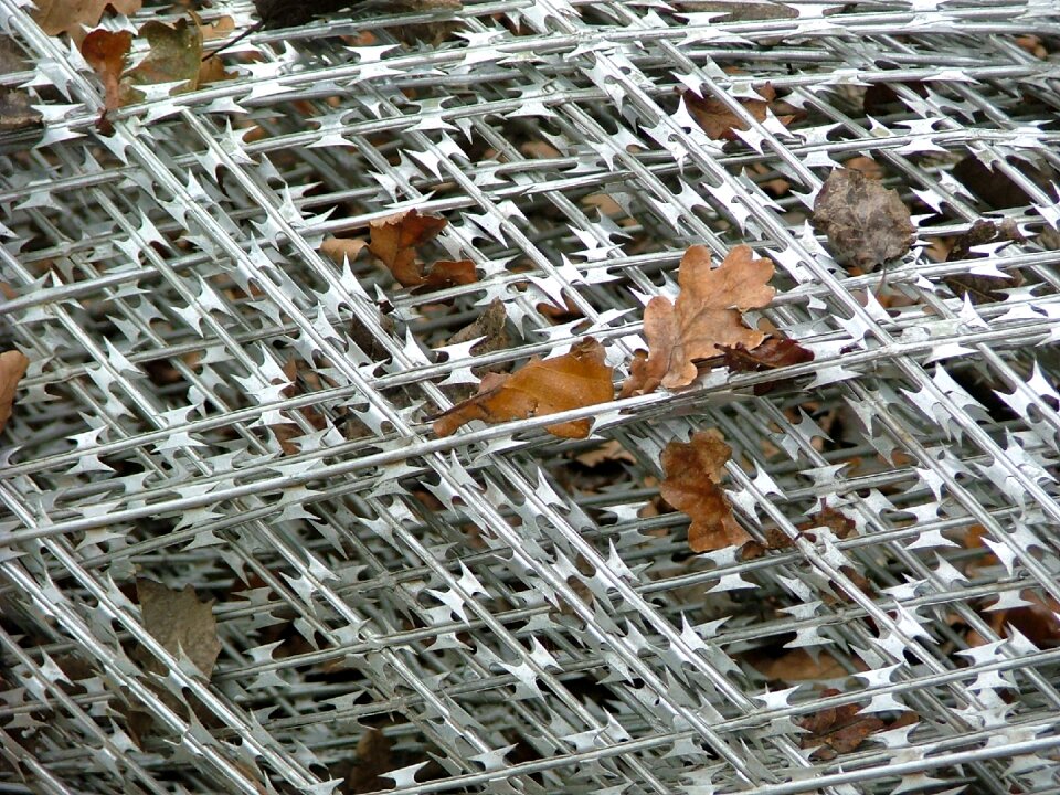 Desktop metal autumn