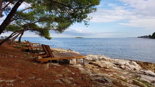 Beach nature summer