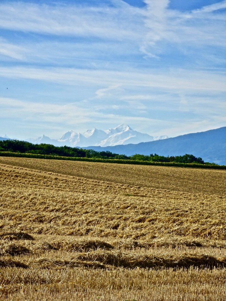 Landscape nature farm
