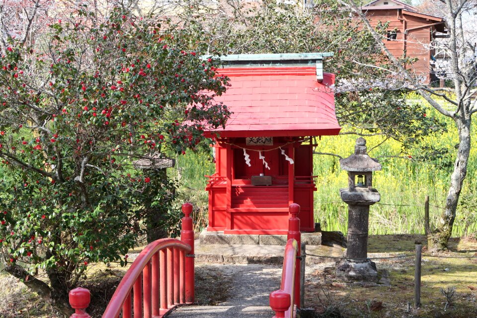 Garden any person not traditional