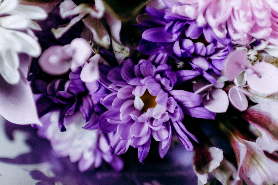 Floral petal garden