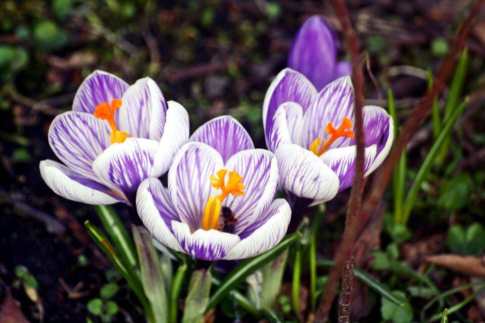 Season garden walk in the park