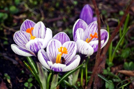 Season garden walk in the park